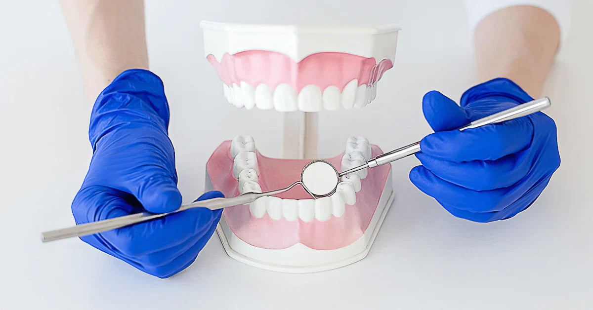 The Importance of Holistic Dentistry