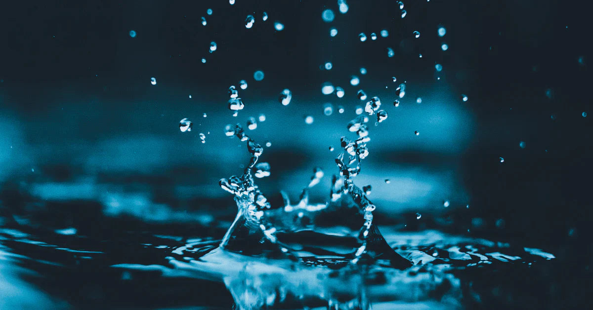 The Importance of Water & Voltage with Leo Syzmborski