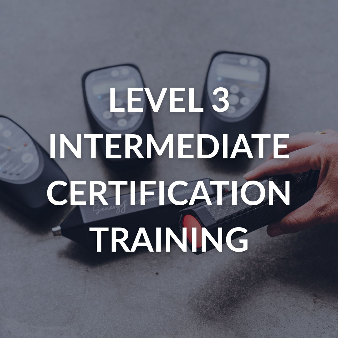 Level 3 Intermediate Certification Training