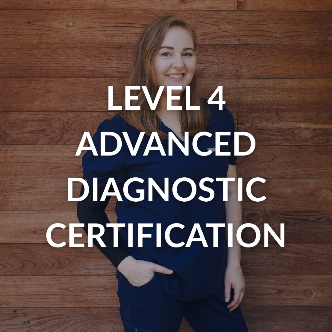 Level 4 Advanced Diagnostic Certification Training