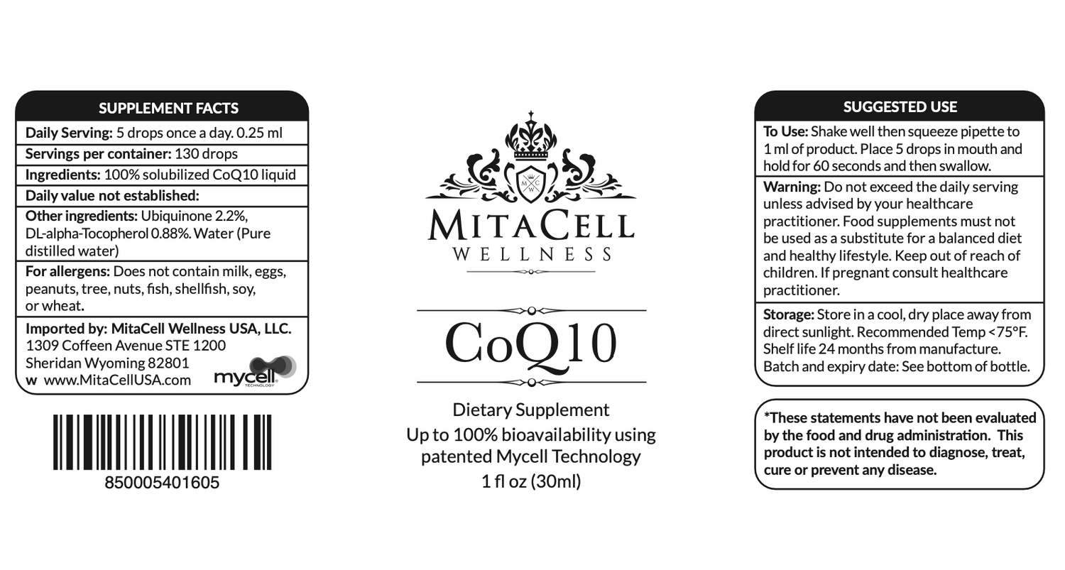 CoQ10 90 Day Supply
