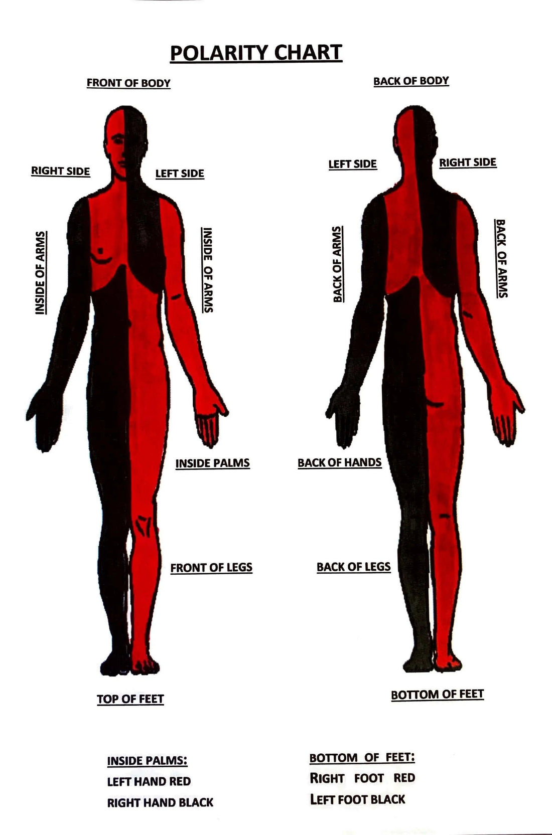 photo of the polarity chart
