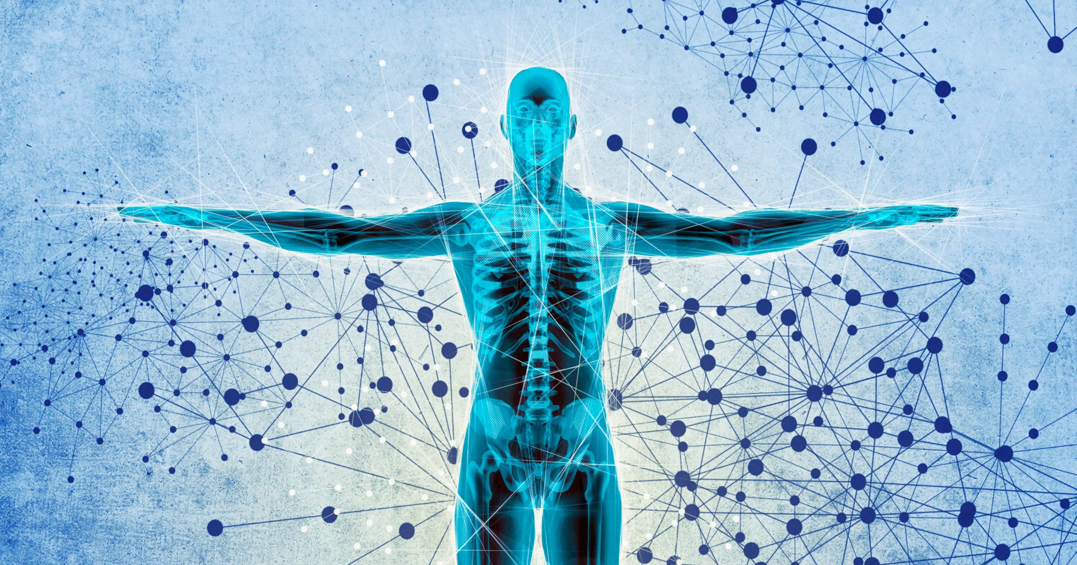 graphic of a an x-ray body 