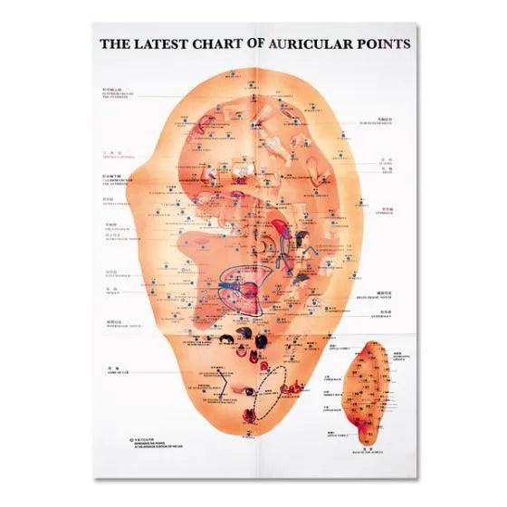 Multi Point In Ear Ear Meridian Chart | Senergy
